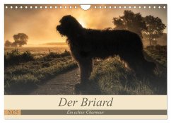 Der Briard 2025 - Ein echter Charmeur (Wandkalender 2025 DIN A4 quer), CALVENDO Monatskalender