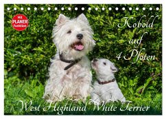 Kobold auf 4 Pfoten - West Highland White Terrier (Tischkalender 2025 DIN A5 quer), CALVENDO Monatskalender - Calvendo;Starick, Sigrid