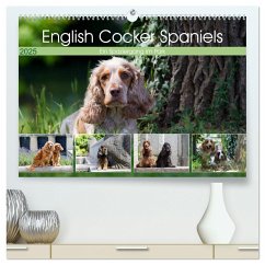 English Cocker Spaniels - Ein Spaziergang im Park (hochwertiger Premium Wandkalender 2025 DIN A2 quer), Kunstdruck in Hochglanz - Calvendo;Verena Scholze, Fotodesign