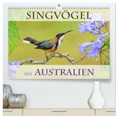 Singvögel aus Australien (hochwertiger Premium Wandkalender 2025 DIN A2 quer), Kunstdruck in Hochglanz