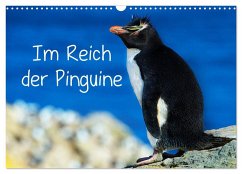 Im Reich der Pinguine (Wandkalender 2025 DIN A3 quer), CALVENDO Monatskalender