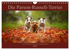 Die Parson-Russell-Terrier ...mit neuen Abenteuern aus der Hundeknipserei (Wandkalender 2025 DIN A4 quer), CALVENDO Monatskalender