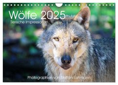 Wölfe 2025. Tierische Impressionen (Wandkalender 2025 DIN A4 quer), CALVENDO Monatskalender - Calvendo;Lehmann, Steffani