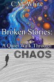 Broken Stories: A Quiet Walk Through Chaos (eBook, ePUB)