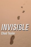 Invisible (eBook, ePUB)