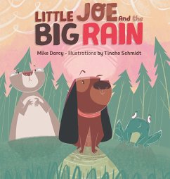 Little Joe and the Big Rain - Darcy, Michael J