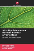 Vida liquénica numa floresta húmida afromontana