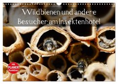 Wildbienen und andere Besucher am Insektenhotel (Wandkalender 2025 DIN A3 quer), CALVENDO Monatskalender