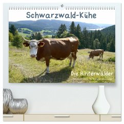 Schwarzwald-Kühe - Die Hinterwälder (hochwertiger Premium Wandkalender 2025 DIN A2 quer), Kunstdruck in Hochglanz
