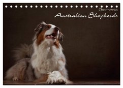 Charmante Australian Shepherds (Tischkalender 2025 DIN A5 quer), CALVENDO Monatskalender - Calvendo;Behr, Jana