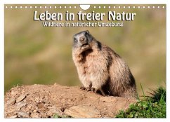 Leben in freier Natur - Wildtiere in natürlicher Umgebung (Wandkalender 2025 DIN A4 quer), CALVENDO Monatskalender