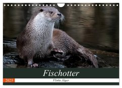 Fischotter, flinke Jäger (Wandkalender 2025 DIN A4 quer), CALVENDO Monatskalender