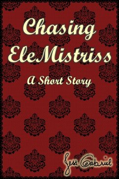 Cover Chasing EleMistriss (eBook, ePUB)