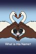 What is His Name? (eBook, ePUB) - Bild 1