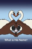 What is His Name? (eBook, ePUB)
