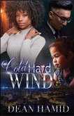 Cold Hard Wind (eBook, ePUB)