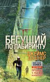 Бегущий по Лабиринту (eBook, ePUB)