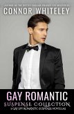 Gay Romantic Suspense Collection: 3 Gay Spy Romantic Suspense Novellas (The English Gay Contemporary Romance Books) (eBook, ePUB)
