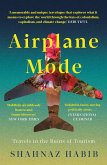 Airplane Mode (eBook, ePUB)