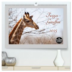 Twigas - Giraffen (hochwertiger Premium Wandkalender 2025 DIN A2 quer), Kunstdruck in Hochglanz