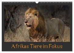 Afrikas Tiere im Fokus (Wandkalender 2025 DIN A3 quer), CALVENDO Monatskalender