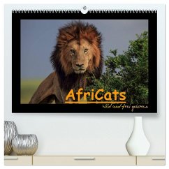 AfriCats (hochwertiger Premium Wandkalender 2025 DIN A2 quer), Kunstdruck in Hochglanz