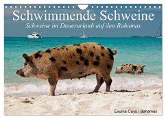 Schwimmende Schweine (Wandkalender 2025 DIN A4 quer), CALVENDO Monatskalender