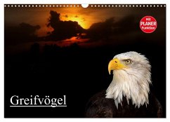 Greifvögel (Wandkalender 2025 DIN A3 quer), CALVENDO Monatskalender