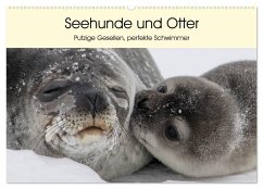 Seehunde und Otter. Putzige Gesellen, perfekte Schwimmer (Wandkalender 2025 DIN A2 quer), CALVENDO Monatskalender