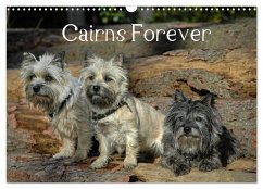 Cairns Forever (Wandkalender 2025 DIN A3 quer), CALVENDO Monatskalender - Calvendo;Homwico