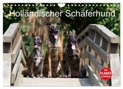 Holländischer Schäferhund (Wandkalender 2025 DIN A4 quer), CALVENDO Monatskalender - Calvendo;Verena Scholze, Fotodesign