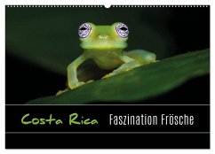 Costa Rica - Faszination Frösche (Wandkalender 2025 DIN A2 quer), CALVENDO Monatskalender - Calvendo;Eßer, Kevin