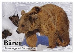 Bären. Unterwegs mit Meister Petz (Wandkalender 2025 DIN A3 quer), CALVENDO Monatskalender