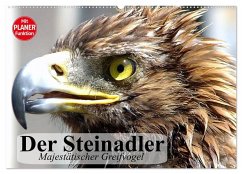 Der Steinadler. Majestätischer Greifvogel (Wandkalender 2025 DIN A2 quer), CALVENDO Monatskalender