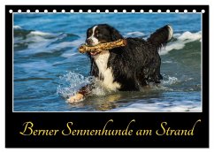 Berner Sennenhunde am Strand (Tischkalender 2025 DIN A5 quer), CALVENDO Monatskalender