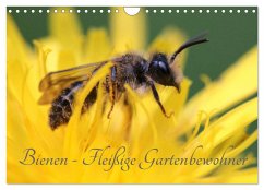 Bienen - Fleißige Gartenbewohner (Wandkalender 2025 DIN A4 quer), CALVENDO Monatskalender