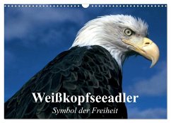 Weißkopfseeadler. Symbol der Freiheit (Wandkalender 2025 DIN A3 quer), CALVENDO Monatskalender