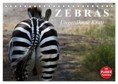 Zebras - Ungezähmte Kraft (Tischkalender 2025 DIN A5 quer), CALVENDO Monatskalender - Calvendo;Stanzer, Elisabeth