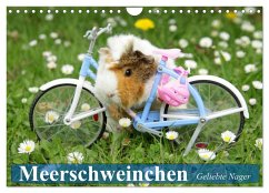 Meerschweinchen. Geliebte Nager (Wandkalender 2025 DIN A4 quer), CALVENDO Monatskalender