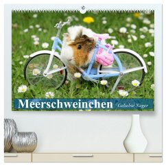 Meerschweinchen. Geliebte Nager (hochwertiger Premium Wandkalender 2025 DIN A2 quer), Kunstdruck in Hochglanz - Calvendo;Stanzer, Elisabeth