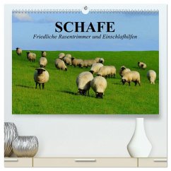 Schafe. Friedliche Rasentrimmer und Einschlafhilfen (hochwertiger Premium Wandkalender 2025 DIN A2 quer), Kunstdruck in Hochglanz