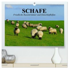 Schafe. Friedliche Rasentrimmer und Einschlafhilfen (hochwertiger Premium Wandkalender 2025 DIN A2 quer), Kunstdruck in Hochglanz - Calvendo;Stanzer, Elisabeth