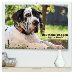 Deutsche Doggen - Sanfte Riesen (hochwertiger Premium Wandkalender 2025 DIN A2 quer), Kunstdruck in Hochglanz