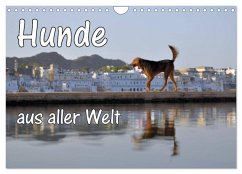 Hunde aus aller Welt (Wandkalender 2025 DIN A4 quer), CALVENDO Monatskalender - Calvendo;Blümm, Florian