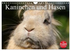 Kaninchen und Hasen (Wandkalender 2025 DIN A4 quer), CALVENDO Monatskalender