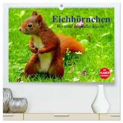 Eichhörnchen. Wo sind bloß die Nüsse? (hochwertiger Premium Wandkalender 2025 DIN A2 quer), Kunstdruck in Hochglanz - Calvendo;Stanzer, Elisabeth