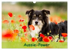 Aussie-Power (Wandkalender 2025 DIN A3 quer), CALVENDO Monatskalender