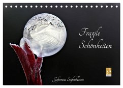 Fragile Schönheiten - Gefrorene Seifenblasen (Tischkalender 2025 DIN A5 quer), CALVENDO Monatskalender - Calvendo;Schiller-Bauer, Sigrid