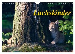 Luchskinder (Wandkalender 2025 DIN A4 quer), CALVENDO Monatskalender