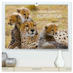 Wildes Leben in Botswana (hochwertiger Premium Wandkalender 2025 DIN A2 quer), Kunstdruck in Hochglanz